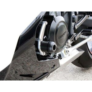 xr[tFCX GWXC_[ DAYTONA 675 STREET TRIPLE 765 tTCh TCh 006-ST008EL