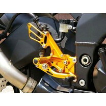 楽天市場】zx10r ベビーフェイスの通販