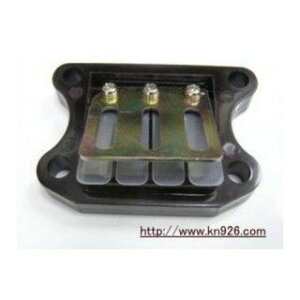 KN fBI [houi3j Dio 2008-D1003