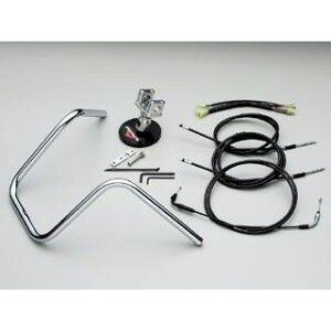 nP[ 300GCvnK[III^nhLbg Y[}[iLu^[ԁj P[udl XeXbV HBK589M-01