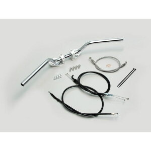 nP[ [sA1^ o[nhLbgitXeXu[Lz[Xj Ninja250R J[ Vo[ HBK681AS