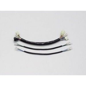 nP[ n[lX GCv100 GCv50iLu^[ԁj HD1069