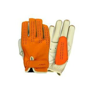 WFCA[v_Nc 3V[YV[gO[u BPS J[ IW/AC{[ TCY M 7704BPS12013