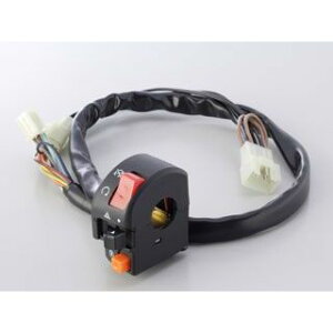 ANeBu XCb`Lbg TYPE-2 D-TRACKER125 1387404