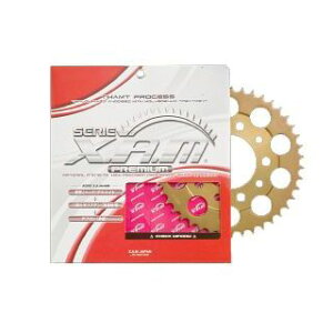 XAM A4305 X.A.M PREMIUM �X�v���P�b�g 520 ���� 43T A4305X43