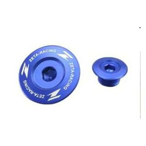 �W�[�^ �G���W���v���O 2�Z�b�g KX250F RMZ250 �J���[ �u���[ F6549