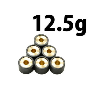 Gkr[GX EGCg[[AhXV100 12.5g 6 AhXV100 E80-29-03