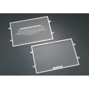 AOX WG^[RAK[h FZS1000 ^Cv B^CviAGRASSj 309-261-B00