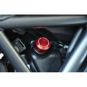 AG N[gTu^NpLbv Diavel J[ zCg AE-70007 WT