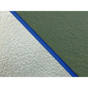 �O�����h�}�� W650�i99�N EJ650A1/C1�j ���Y�V�[�g�J�o�[ ���� �_�[�N�O���[�� W650 ���C�� �V���o�[���C�� �d�l �p�C�s���O GH5557KC3054P50