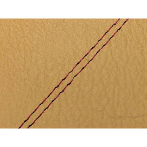 �O�����h�}�� W650�i99�N EJ650A1/C1�j ���Y�V�[�g�J�o�[ ���� ���y�F W650 ���C�� - �d�l �ԃ_�u���X�e�b�` GH5556KC490SW40