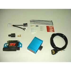 ASEI^j SPIIp[RCLbgiėpj 1P×1 C^Cv ėp E1011C