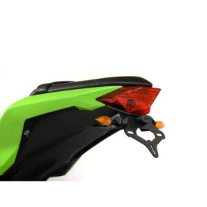 �A�[���A���h�W�[ �t�F���_�[���X�L�b�g�i�u���b�N�j Ninja250 RG-LP0130BK