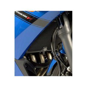 アールアンドジー ラジエターガード(ブラック) RG-RAD0096BK