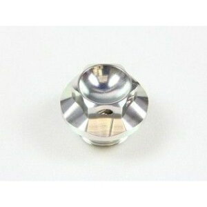 AgCI ICtB[Lbv M20×P2.5 J[ Vo[ 30106-SL