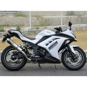 gbNX^[ tGL][Xg X|[cL^CU[VXe Ninja250 JFS-015D-CYT