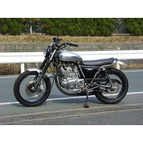 楽天市場】ビッグシーダー 250tr エストレヤ ロングピーナッツアルミ 