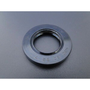 �r�[�A�[���V�[ HAWK �����z�C�[���p�_�X�g�V�[���i52mm�j HAWK250/400 �E4744