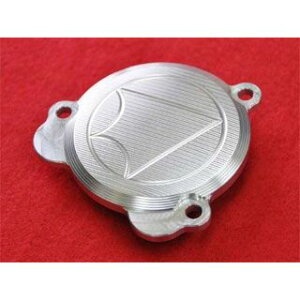 ビートジャパン スターターカバー(シルバー) D-TRACKER125 KLX125 0401-KA2-09
