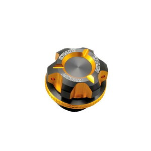 �f�C�g�i PREMIUM ZONE �V���[�Y �t�B���[�L���b�v M20×P1.5 �J���[ �S�[���h 91887