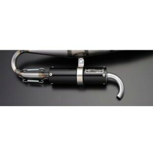 Oh} CuDIO/AvI SPIRAL BEET2pTCT[Pi AvI CuDIO J[ ubN SB2-SLC-SB