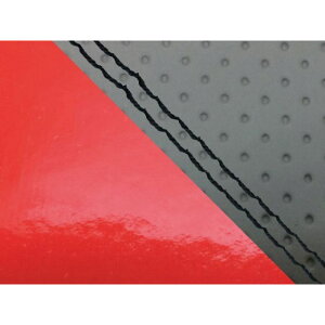 Oh} YZF-R1VOitgj YV[gJo[ G{XDGibh YZF-R1 ^Cv  dl _uXeb` GH5563YC1256SW10