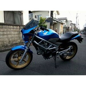 [hEH[N ėprLjJE DS-01 typeAeroiOgEF[uu[^bNj CB1300SF/400SF z[lbg250/VTR250 ds-01aero-37