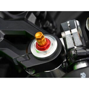 AOX tgtH[NCjVAWX^[ Ninja250SL J[ ubN 351-495-000BK