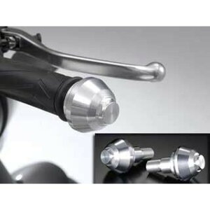 �A�O���X �A���~�o�[�G���h MT-01 �J���[ �S�[���h 300-265-000G