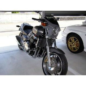 [hEH[N ėprLjJE DS-01 typeAEROi}bgrbgVo[j X4 ds-01aero-h5