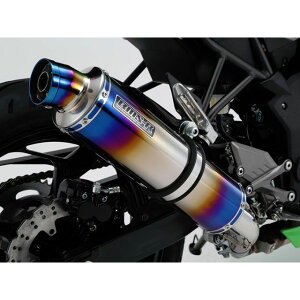 BMS R-EVO XbvI}t[ {F Z250SL TCT[ q[g`^ G425-53-P1J