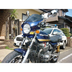 yiz[hEH[N ėprLjJE DS-01 typeRi^bNmN^[u[j ds-01r-k8