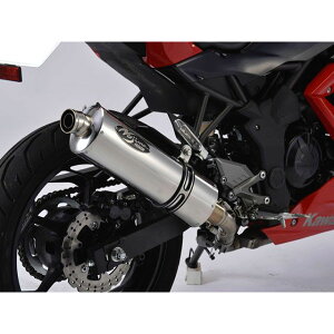 mW} GT-Middle XbvI}t[ Ninja250SL NMS637SGTM-CLK