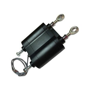 iK&W cCJpGATXyV cCJ P58605