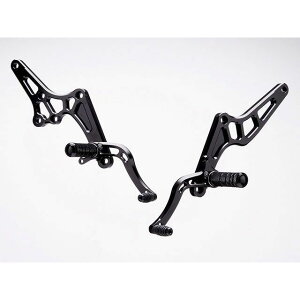 XgCJ[ XebvLbg DPS 1|WViubNj ZEPHYR400/X SS-AA208B2