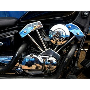 ���i��K&W DS250�p�_�~�[�v�b�V�����b�h�J�o�[KIT�i�m�[�}���^���N�p�j DS250 P15909-1