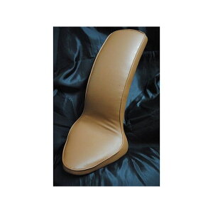 iK&W DS400pX[XRuV[g DS400 J[  P14075