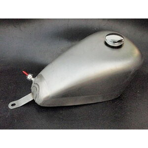 iK&W nC}EgX|[cX^[^N XeB[h P12010