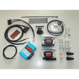 ASウオタニ SPIIフルパワーキット（S.GS400） GS400/E ・00416