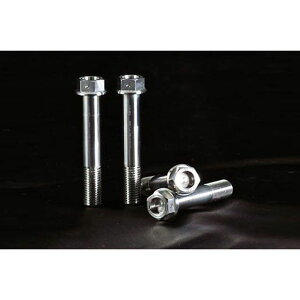 �A�G�� �`�^���{���g/F�L�����p�[�}�E���g �^�C�K�[800 AT-TR004 OT