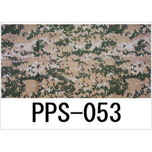 �p�C�v�X PIPES PPS-053 PPS-053