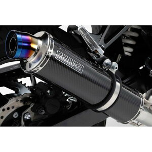 BMS R-EVO XbvI}t[ J[{ {F GSX250R G335-53-P2J