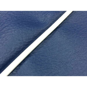 Oh} NXJuiJA10/CC110j YV[gJo[ lCr[ NXJu ^Cv 킹 dl pCsO GR5573HC530P20