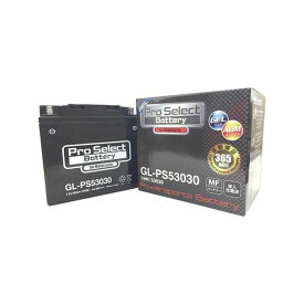 【メーカー直送】Pro Select Battery GL-PS53030（53030互換） ジェルタイプ 液入り充電済み PSB178 プロセレクトバッテリー バッテリー関連パーツ バイク 汎用