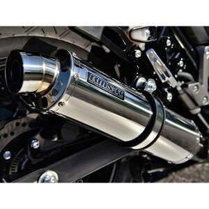 BMS R-EVO XbvI}t[ XeX {F V-STROM250 G337-53-P6J