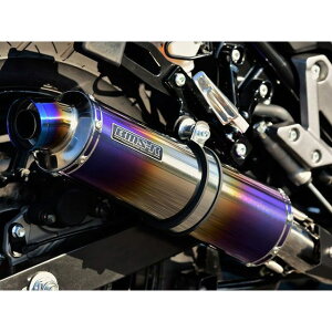 BMS R-EVO XbvI}t[ q[g`^ {F V-STROM250 G337-53-P1J