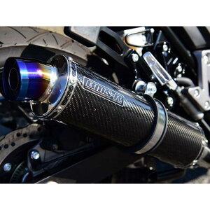 BMS R-EVO XbvI}t[ J[{ {F V-STROM250 G337-53-P2J
