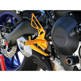 正規品／BABYFACE バックステップキット カラー：ゴールド 002-Y020GD ベビーフェイス バックステップ関連パーツ バイク MT-09