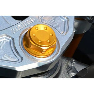 AOX Z^[ibg GSX-R1000 YZF-R6 J[ S[h 346-028-100G