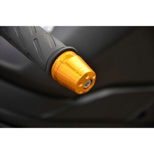 �A�O���X �o�[�G���h SV650 �J���[ ���b�h 300-304-000R